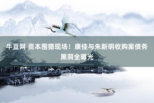 牛豆网 资本围猎现场！康佳与朱新明收购案债务黑洞全曝光
