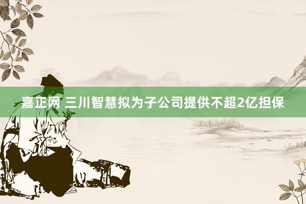嘉正网 三川智慧拟为子公司提供不超2亿担保