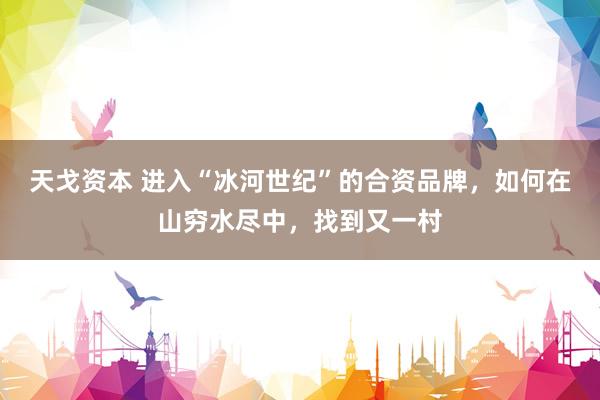 天戈资本 进入“冰河世纪”的合资品牌，如何在山穷水尽中，找到又一村