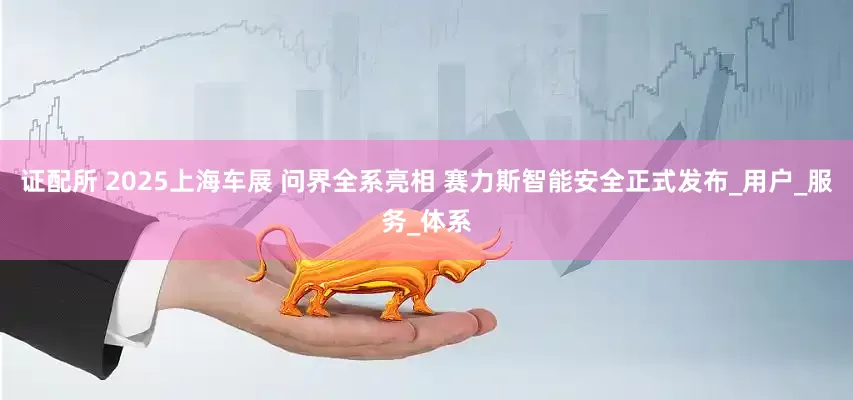 证配所 2025上海车展 问界全系亮相 赛力斯智能安全正式发布_用户_服务_体系