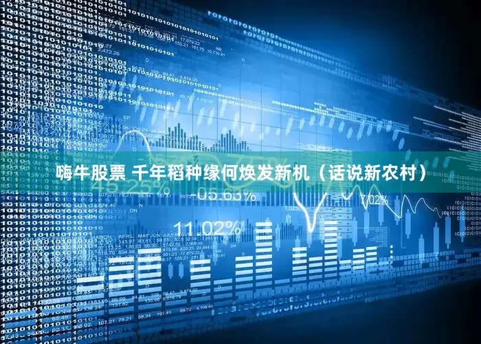 嗨牛股票 千年稻种缘何焕发新机（话说新农村）