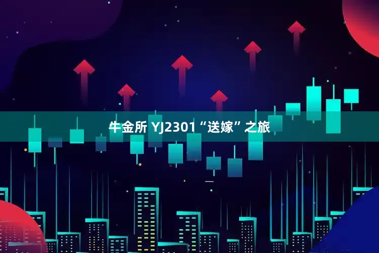 牛金所 YJ2301“送嫁”之旅